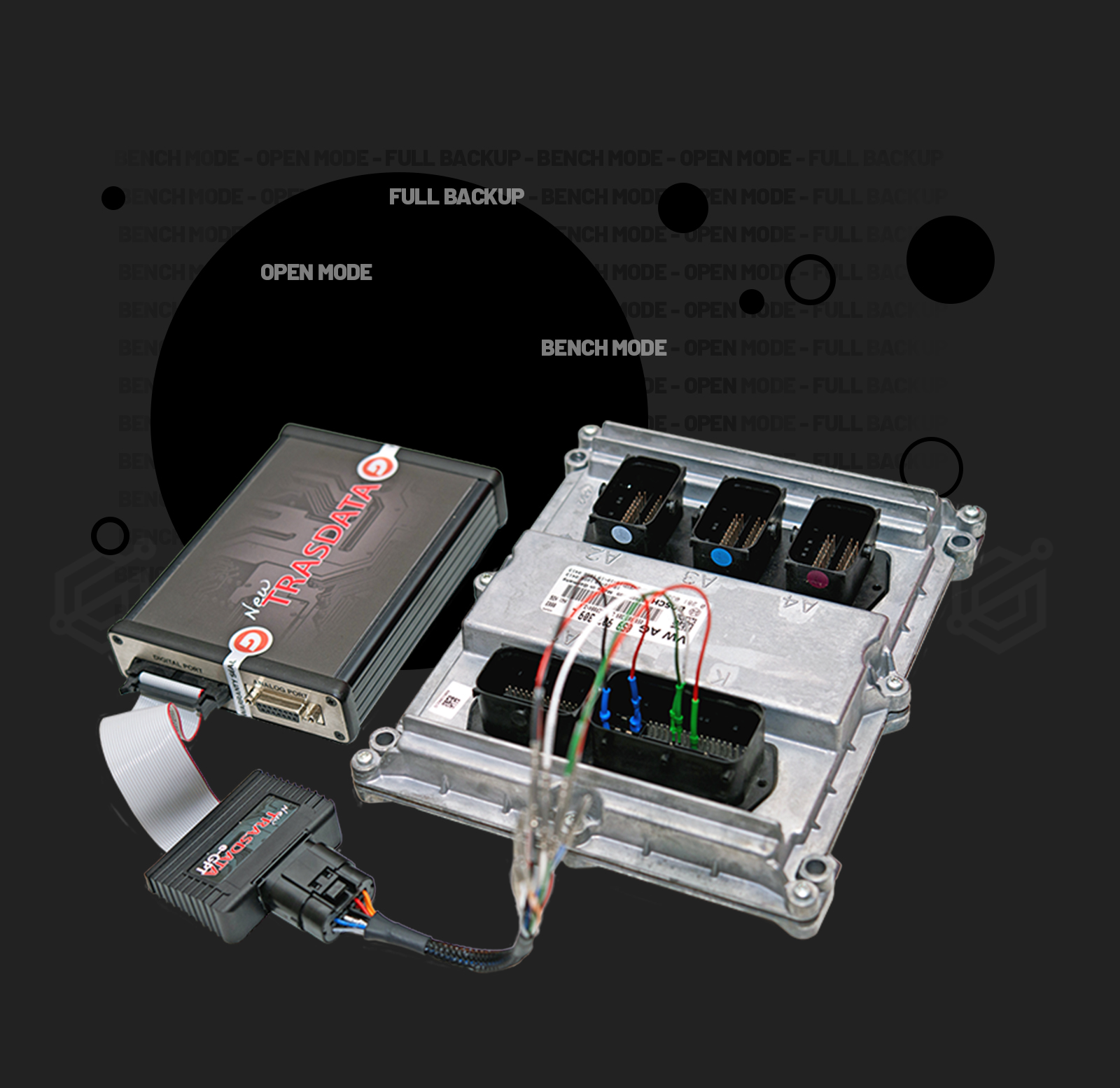 Dimsport New Trasdata Bench Tool